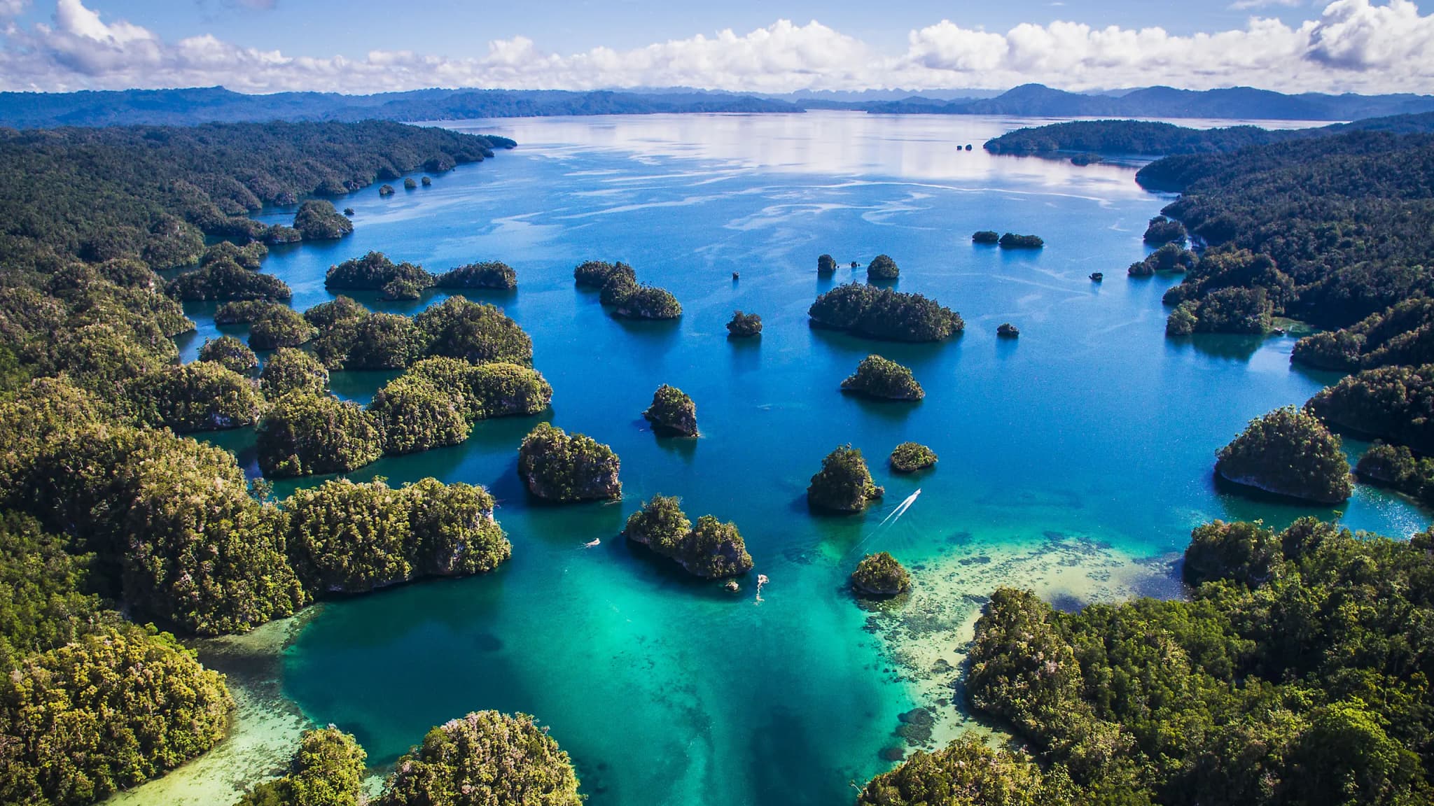 Plant-based ocean escapes with cruelty-free scuba travel experiences