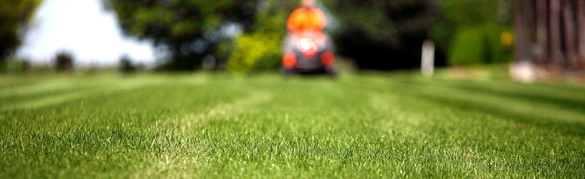 Brisbane Lawn Mowing for Healthy and Tidy Outdoor Areas
