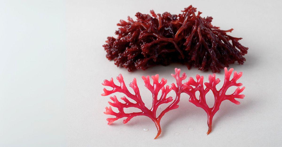 Natural Astaxanthin Supplement for Complete Health Support