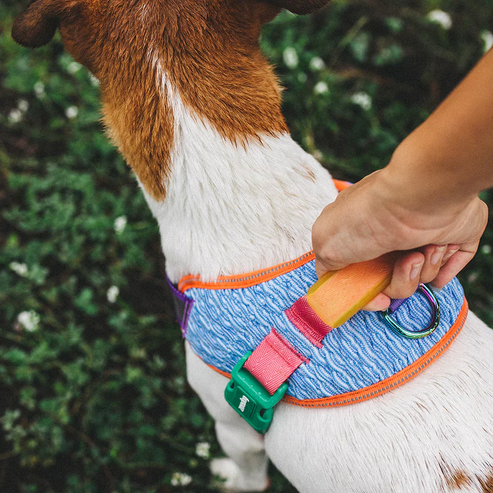 Experienced Dog Harness Supplier for Global Markets